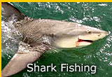 Florida Shark Fishing Charters