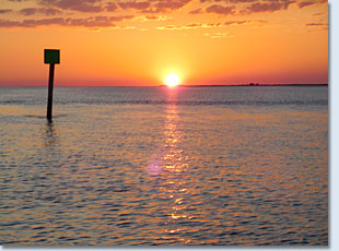 Crystal River Florida Sunset Cruise